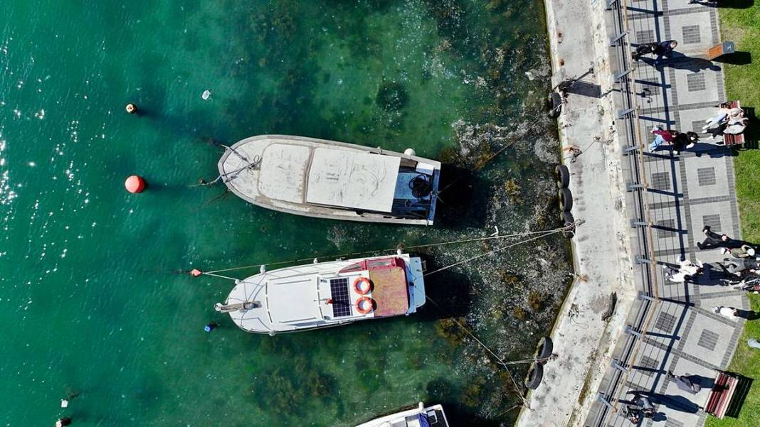 İstanbul'un o sahilinde yürüyüş yapanlar gözlerine inanamadı! Bitti denmişti, meğer yeniden başlıyormuş 15